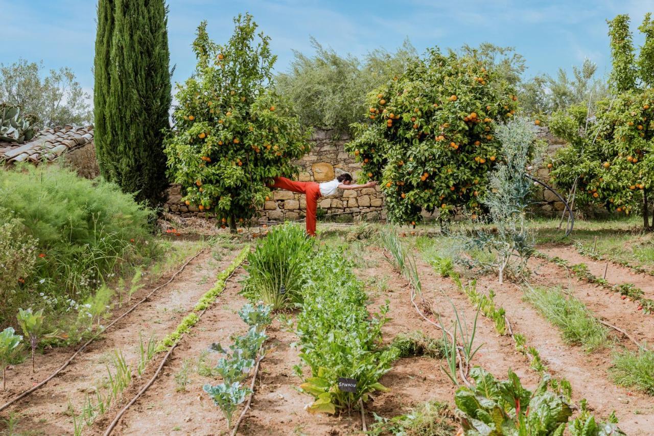 Vila Baglio Occhipinti Vittoria Exteriér fotografie