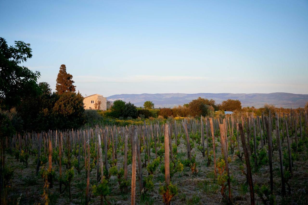 Vila Baglio Occhipinti Vittoria Exteriér fotografie